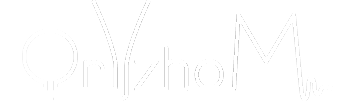 Logo 2012 © ORYZHOM